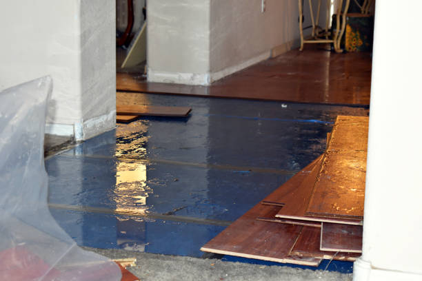 Professional Water Damage Restoration technician working in Bandera, TX